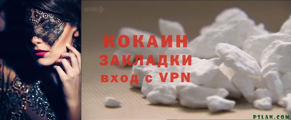 сатива Пересвет