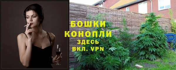 сатива Пересвет
