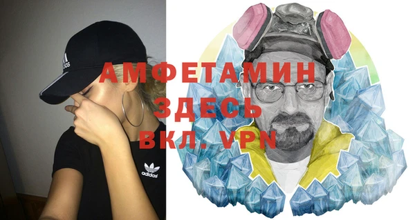 сатива Пересвет