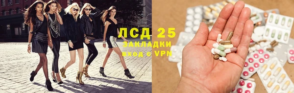 сатива Пересвет